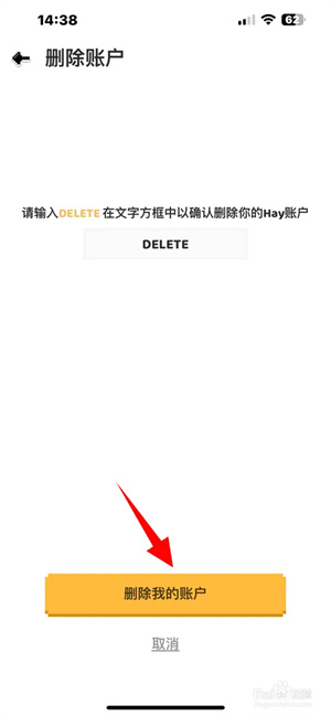 Hay正版