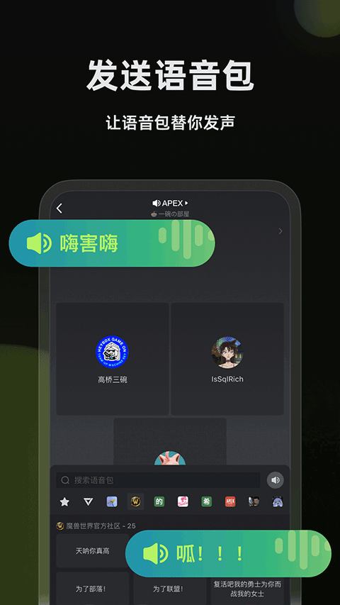 黑盒语音截图0