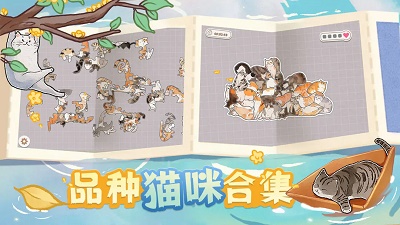 挤在一起的猫猫截图0