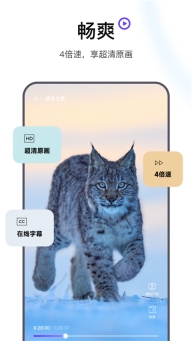 迅雷浏览器旧版截图2