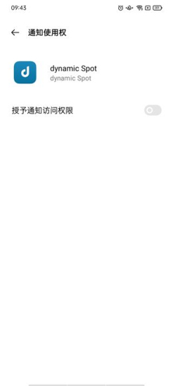 dynamicspot灵动岛截图1