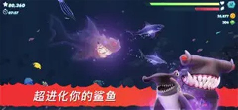 饥饿鲨进化国际服正版截图0