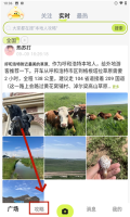 游鸭截图4