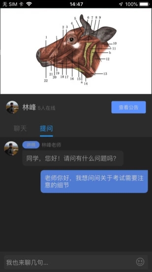 兽课网截图2