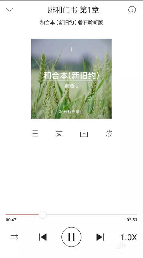 微读圣经原版