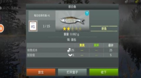 极限钓鱼大师