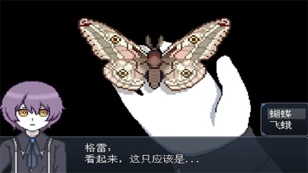 白夜博物馆截图2