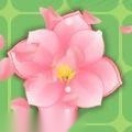 拼花朵