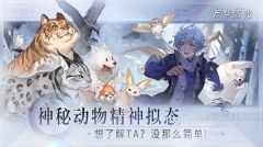 弧光截图0