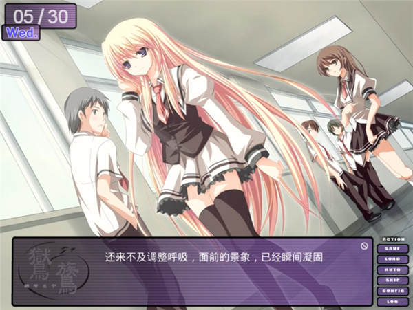 鸑鷟镜花水月截图0