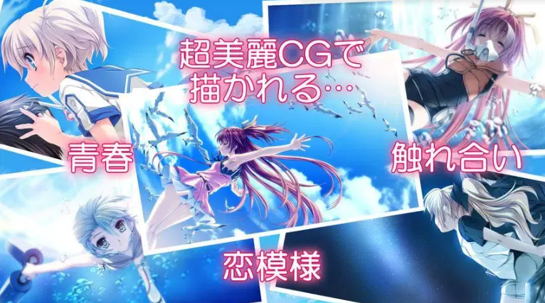海豚恋人日服最新版下载(DolphinDivers)