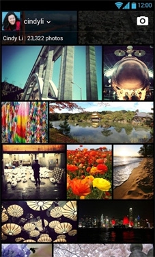 Flickr截图3