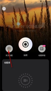 实况live动图相机截图1