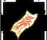 放课后的捉迷藏安卓汉化版