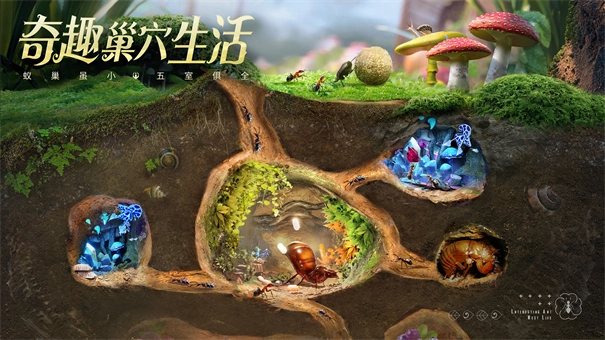 小小蚁国截图2