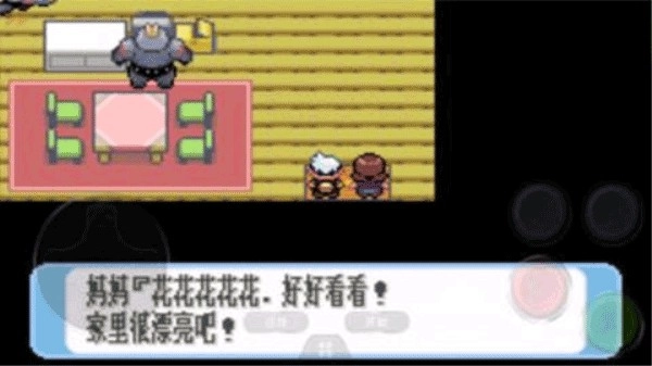 神奇宝贝红宝石截图0