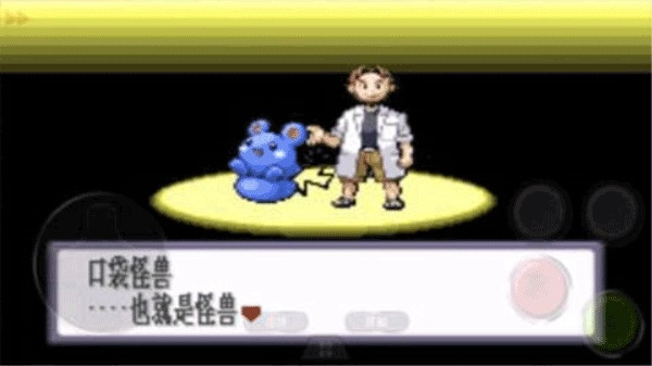 神奇宝贝红宝石截图1