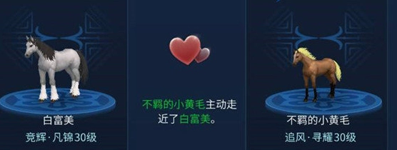 倩女幽魂网易版