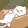 小猫铲屎官游戏最新版