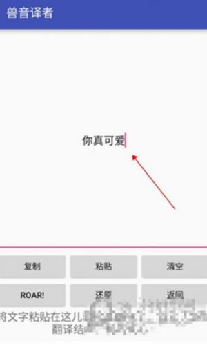 兽音译者解密