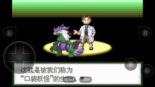 口袋妖怪生与死截图3