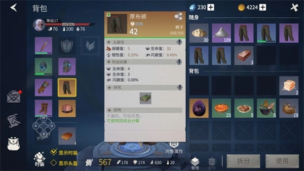冰原守卫者正版