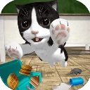 猫咪模拟器正版