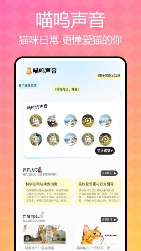 猫咪语言翻译器截图2