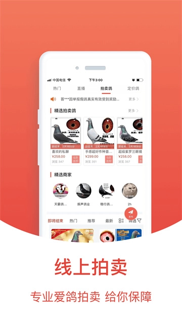 搜鸽天下截图1