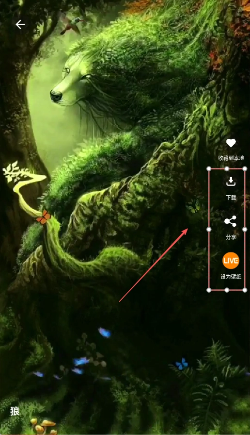 手机动态壁纸