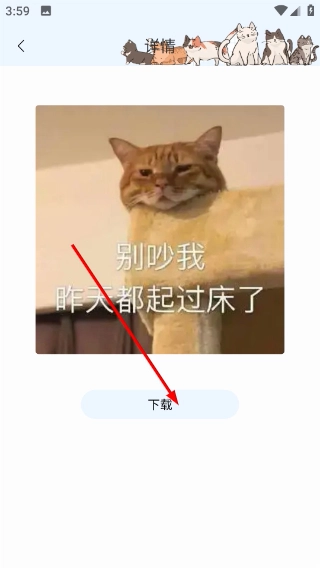 猫咪语言翻译器