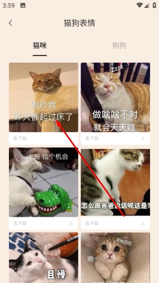 猫咪语言翻译器