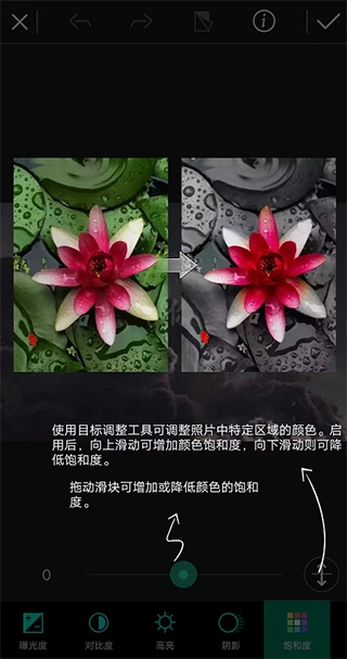 相片大师手机版