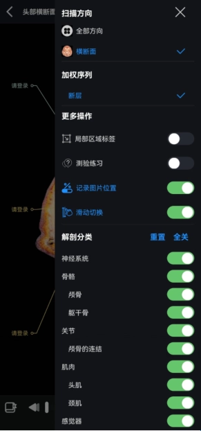 影像解剖图谱