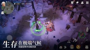 冰原守卫者最新版截图1