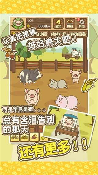 养猪场mix最新版截图0