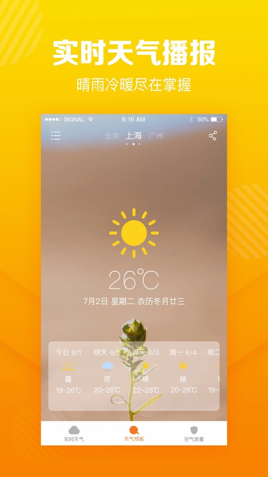 菠萝天气截图1