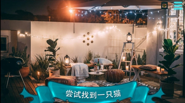 寻找猫2截图0