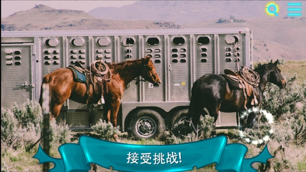 寻找猫2截图1