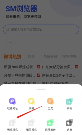 SM浏览器免费版截图1