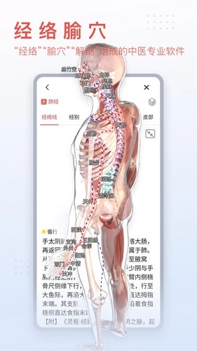 3Dbody艺用截图1
