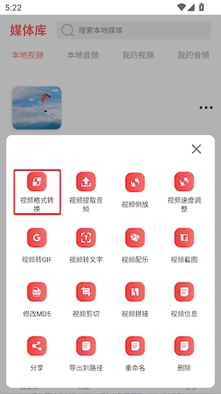 格式大师免费版