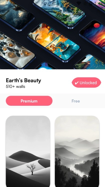 WallSpot正版