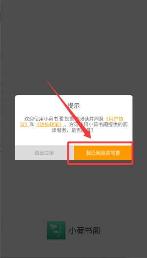 小荷书阁最新版