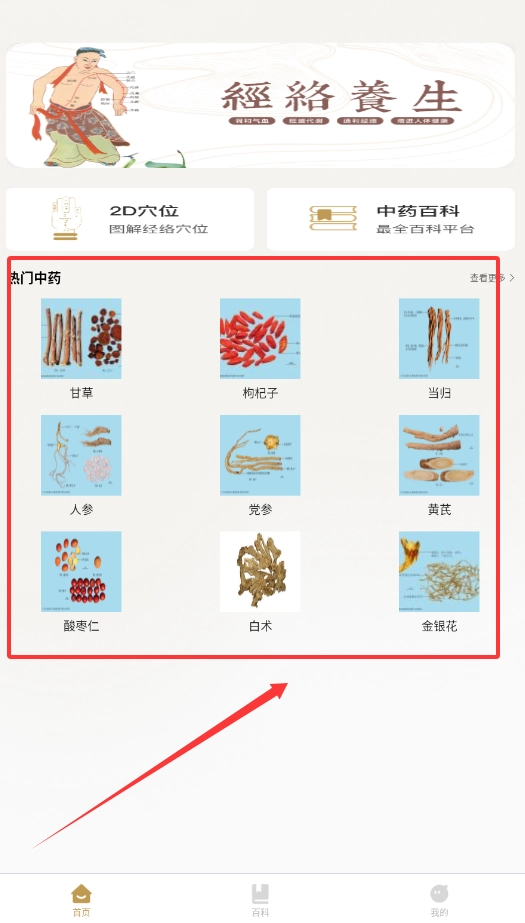 中医穴位图