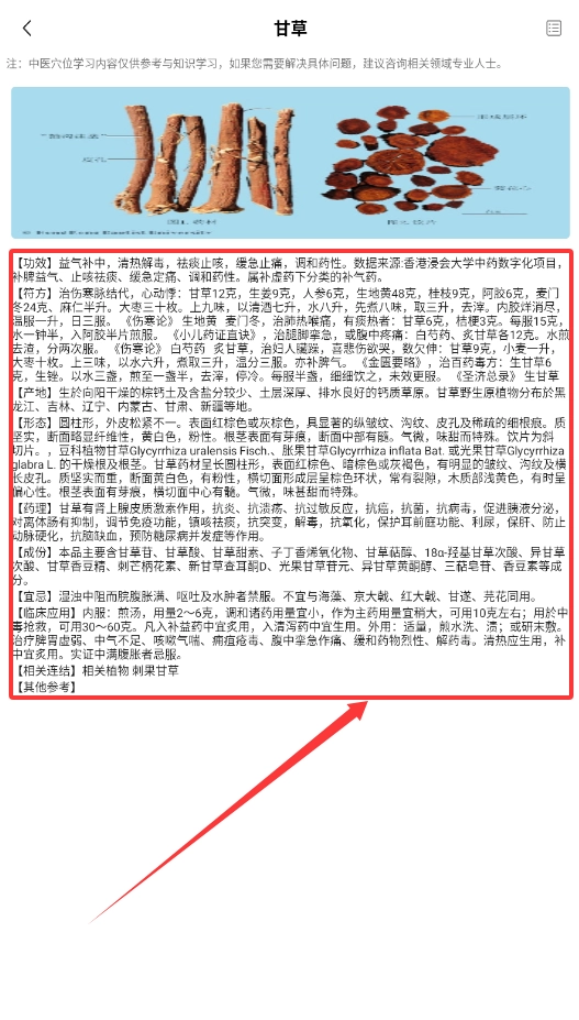 中医穴位图
