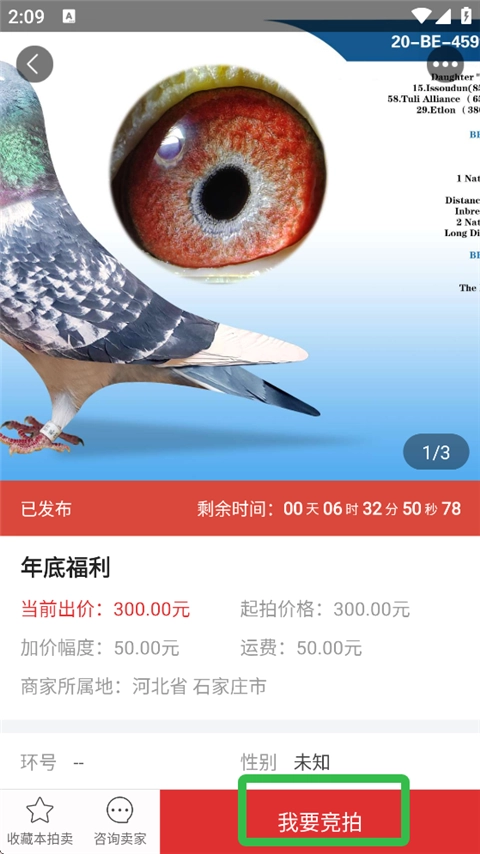 搜鸽天下安卓版
