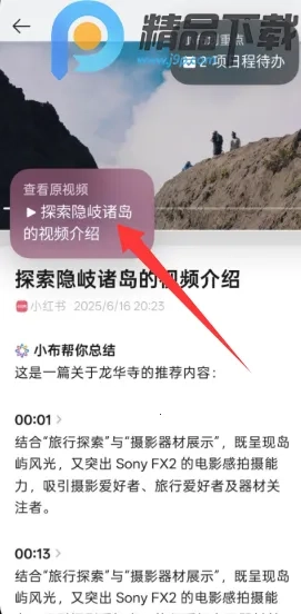 小布记忆(AI信息管理工具)  手机版截图4