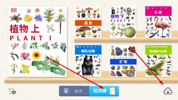 dk百科全书