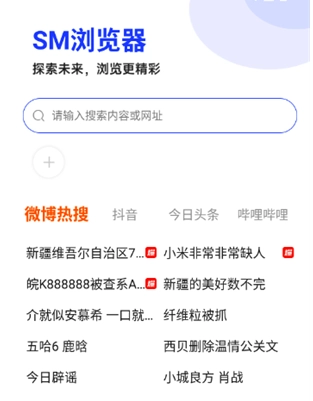 SM浏览器免费版截图3